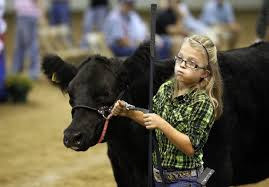 girl with cow