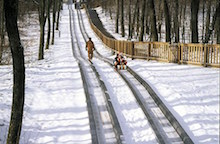 sled-tracks-down-snow
